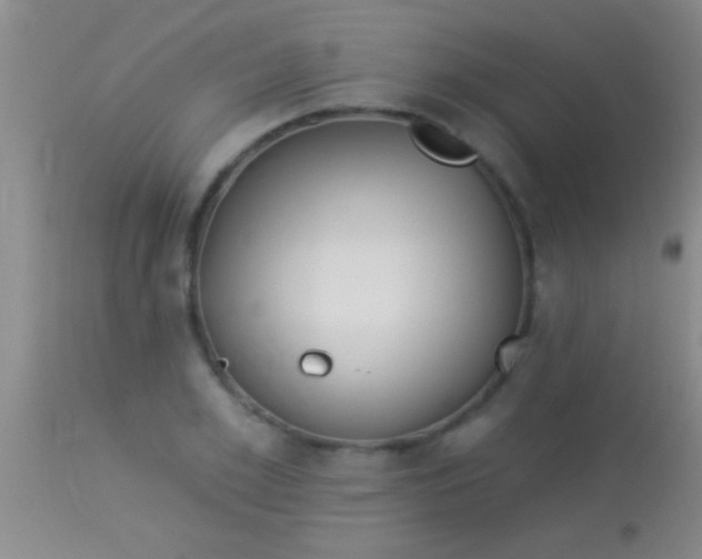 X0000113960981200910161959