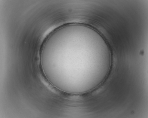 X0000113960982200910161959