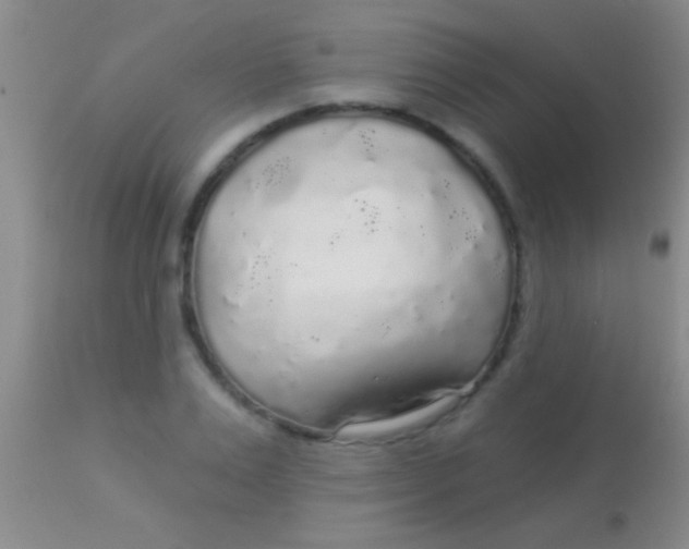 X0000113960983200910161959