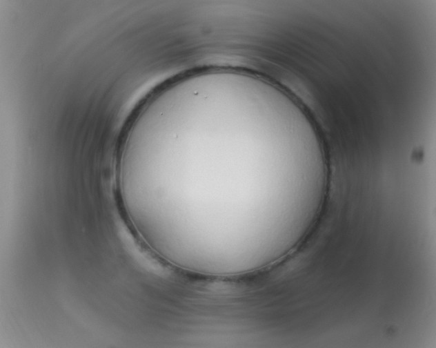 X0000113960984200910161959