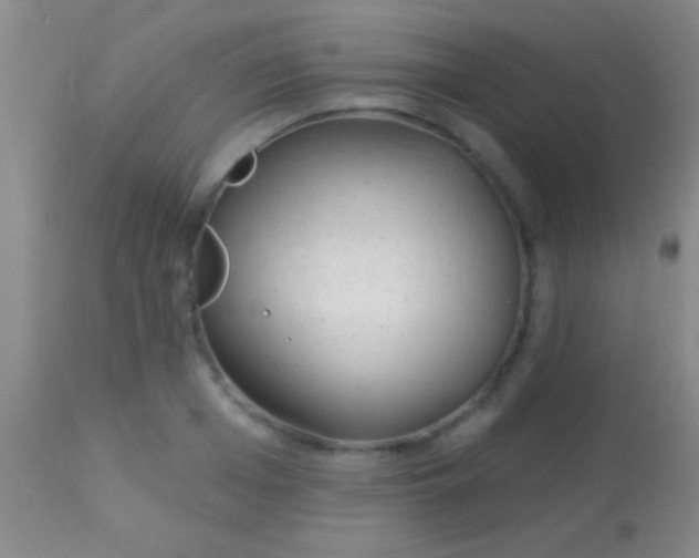 X0000113960985200910161959