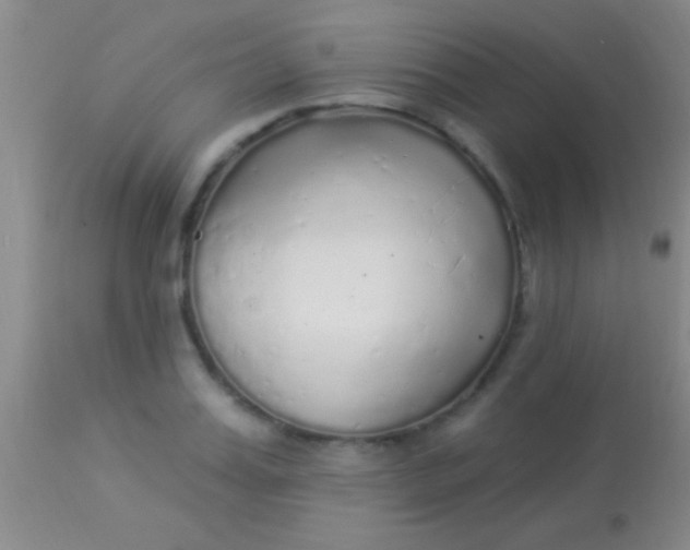 X0000113960987200910161959