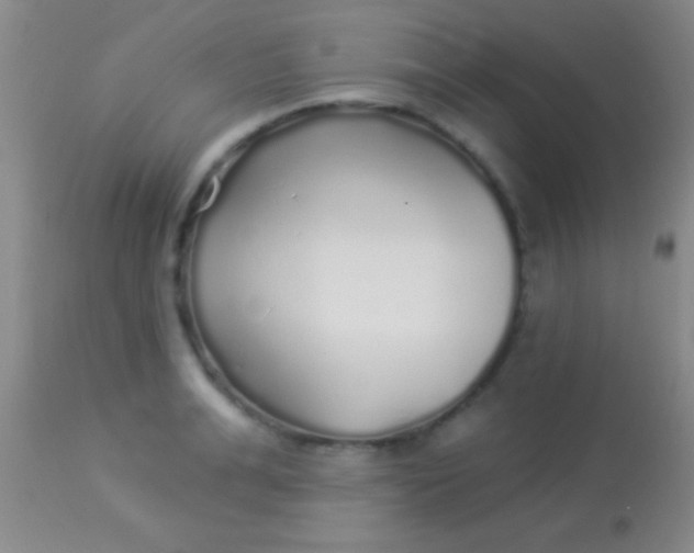 X0000113960991200910161959