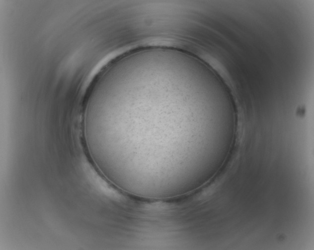 X0000113960992200910161959