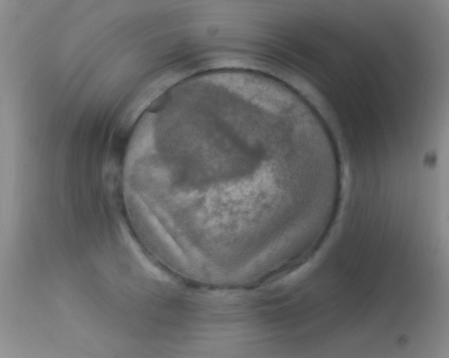 X0000113960993200910161959