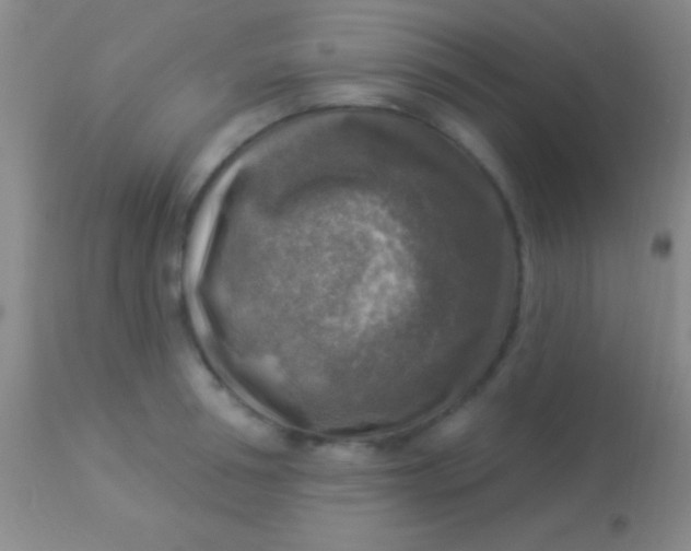 X0000113960994200910161959