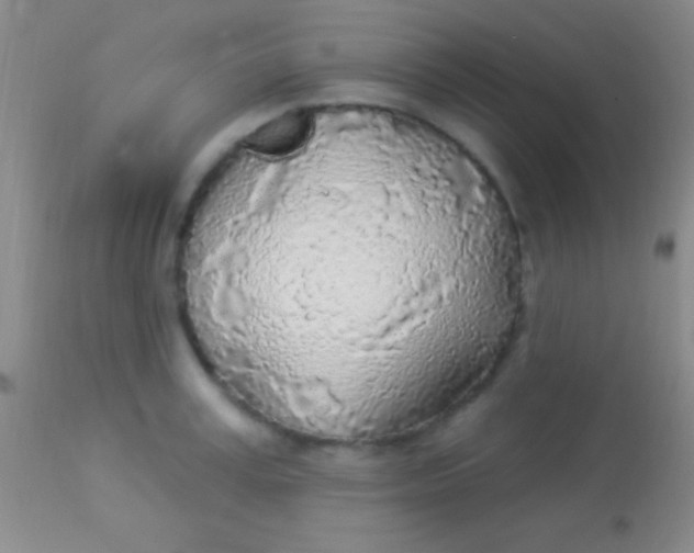 X0000113960995200910161959