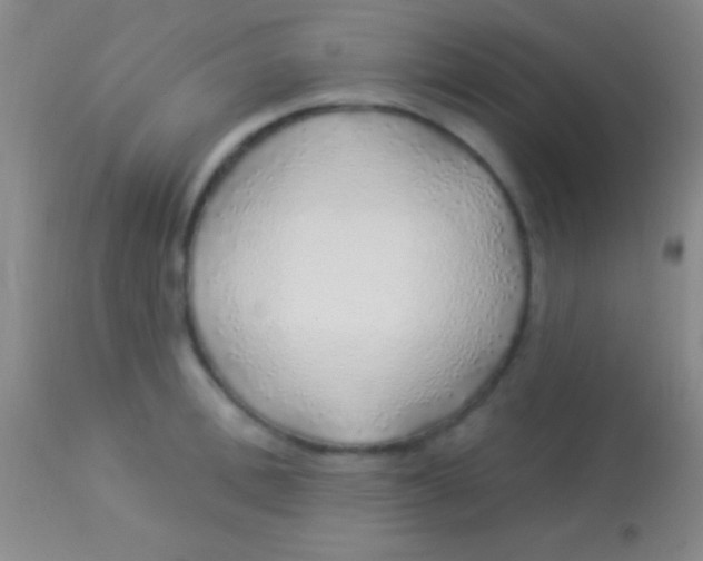 X0000113960996200910161959