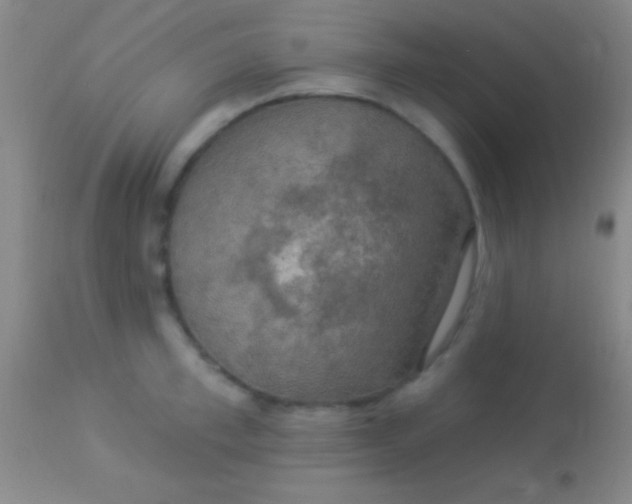 X0000113960997200910161959