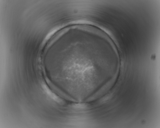 X0000113960998200910161959