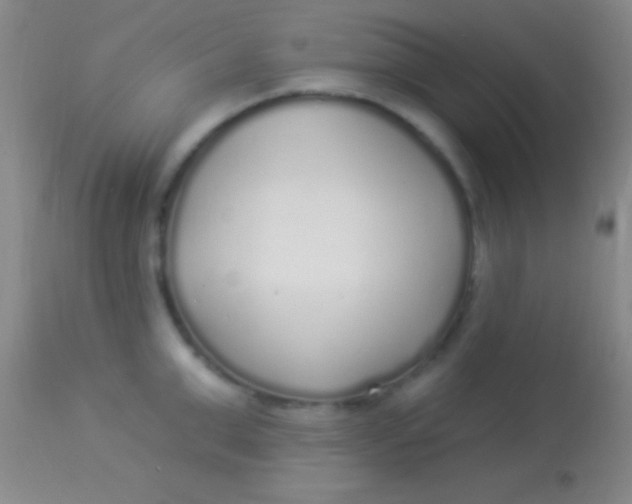 X0000113960999200910161959