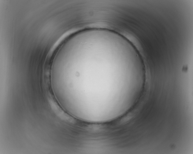 X0000113961000200910161959