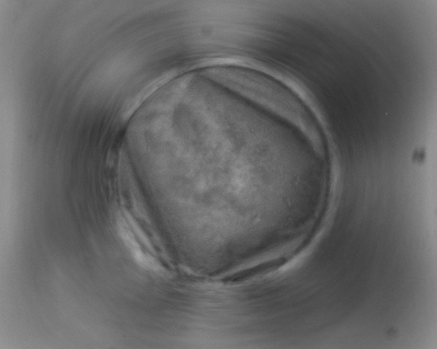 X0000113961001200910161959