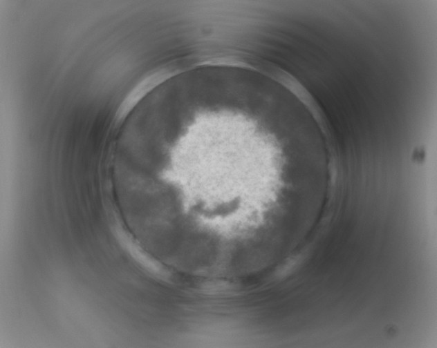 X0000113961002200910161959