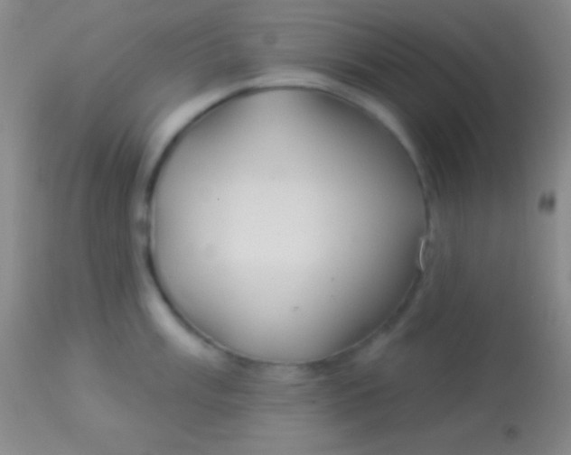 X0000113961003200910161959