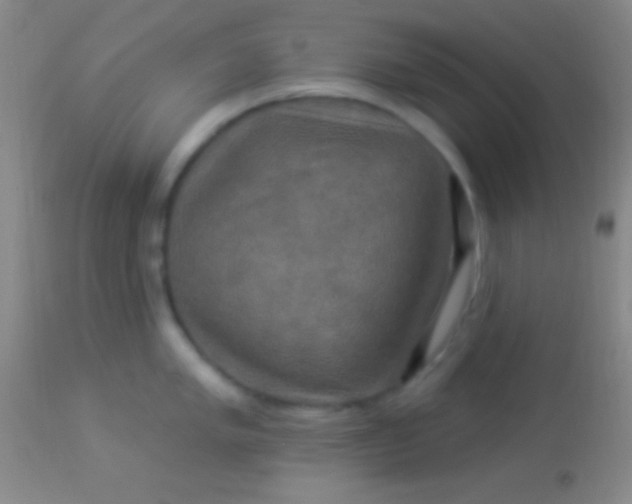 X0000113961005200910161959