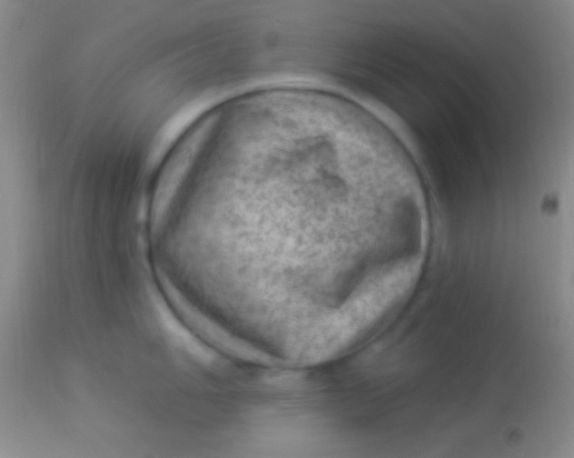 X0000113961006200910161959