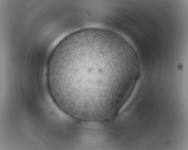 X0000113961007200910161959