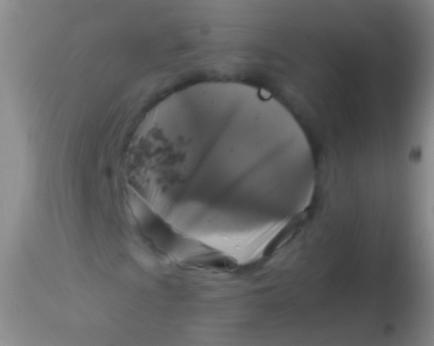 X0000113961009200910161958