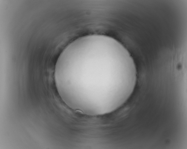 X0000113961010200910161958