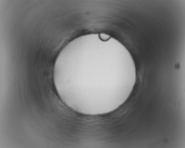 X0000113961012200910161958