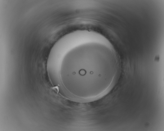 X0000113961013200910161958