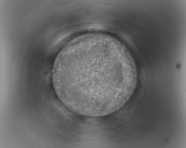 X0000113961015200910161958