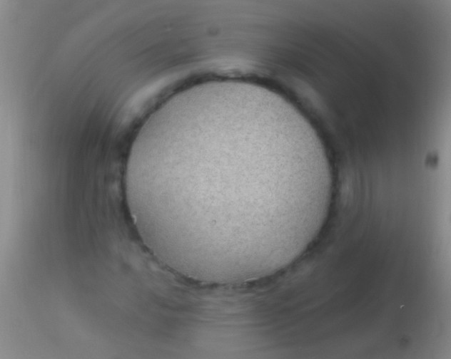 X0000113961016200910161958