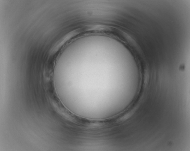 X0000113961017200910161958