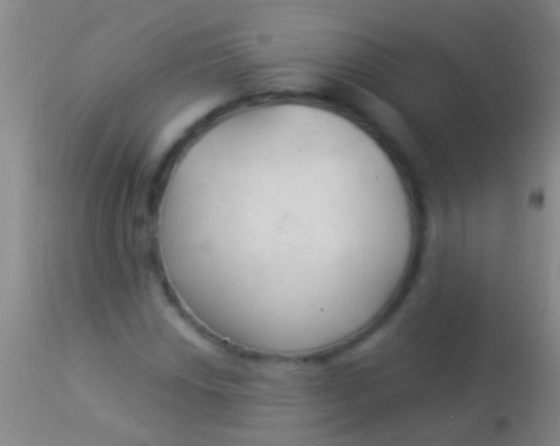 X0000113961018200910161958