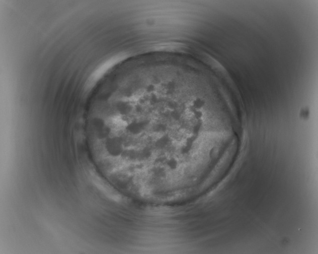 X0000113961019200910161958