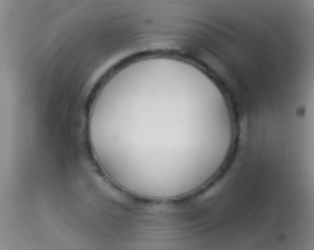 X0000113961021200910161958