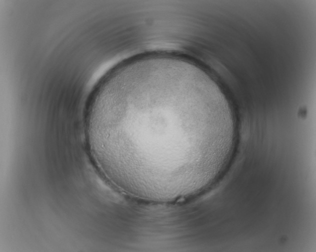 X0000113961022200910161958