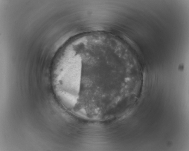 X0000113961023200910161958