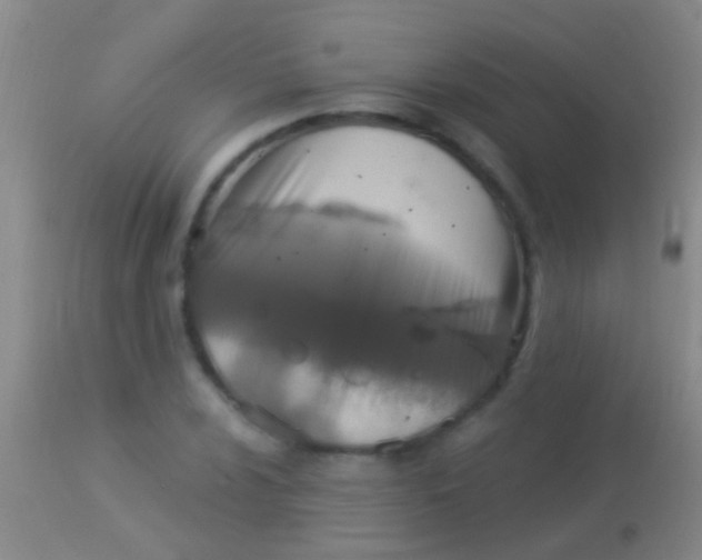 X0000113961024200910161958