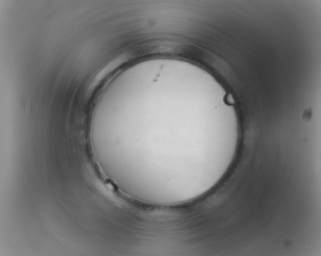 X0000113961026200910161958