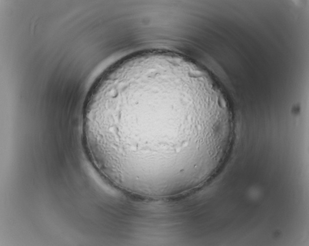 X0000113961028200910161958