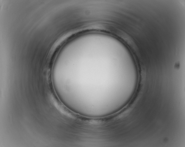 X0000113961029200910161958