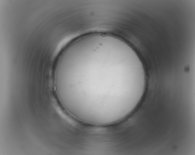 X0000113961030200910161958