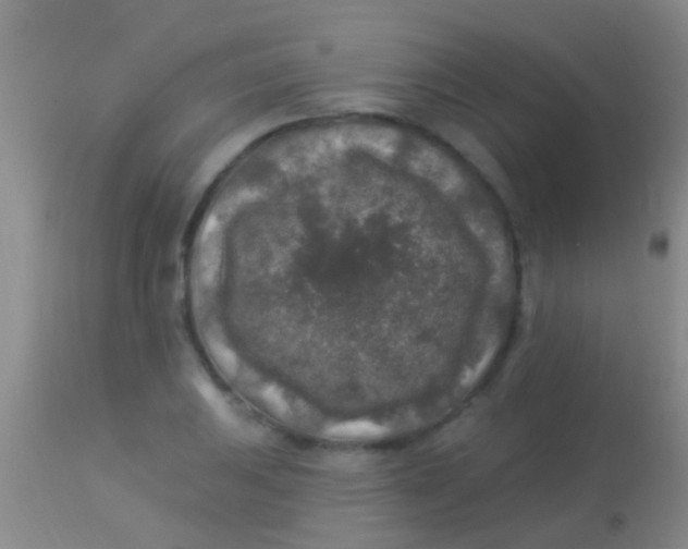 X0000113961031200910161958