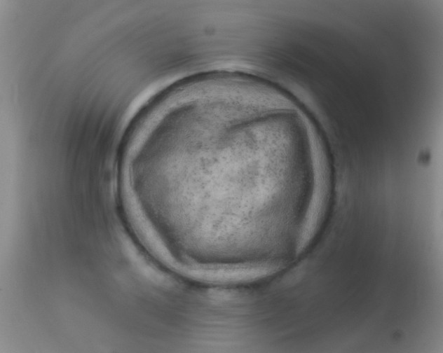 X0000113961032200910161958