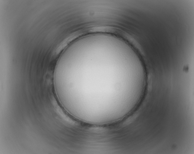 X0000113961033200910161958