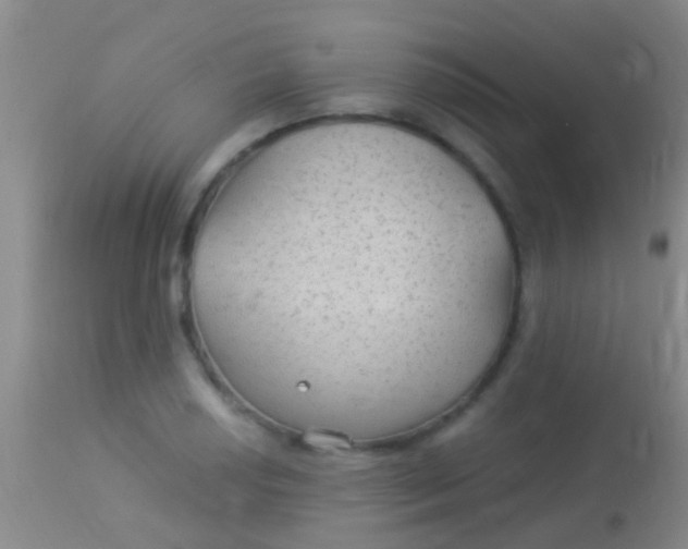 X0000113961034200910161958