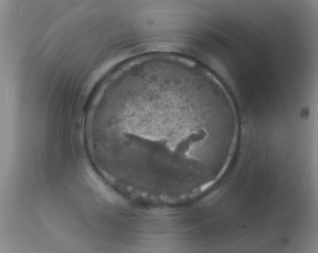 X0000113961035200910161958