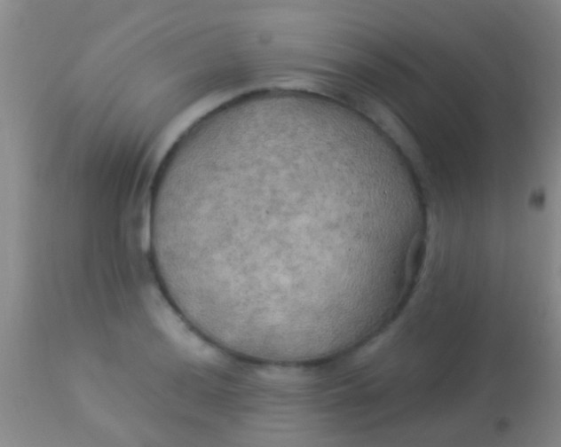 X0000113961036200910161958