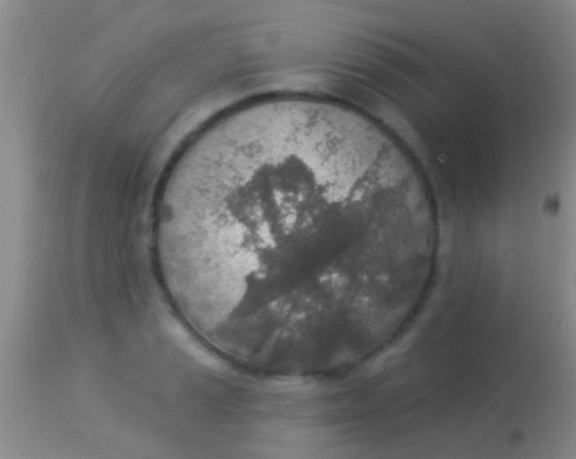 X0000113961037200910161958