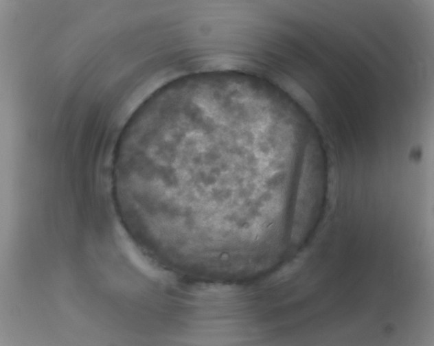 X0000113961039200910161958