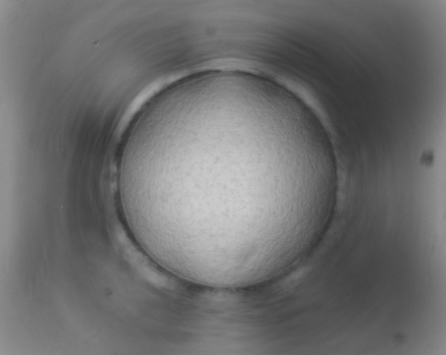 X0000113961040200910161958