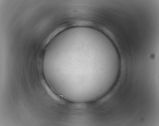 X0000113961041200910161958