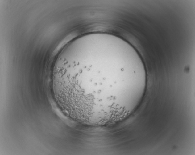 X0000113961042200910161958